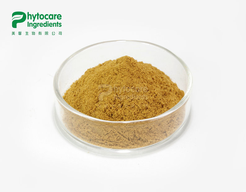 Siberian Ginseng Extract Powder